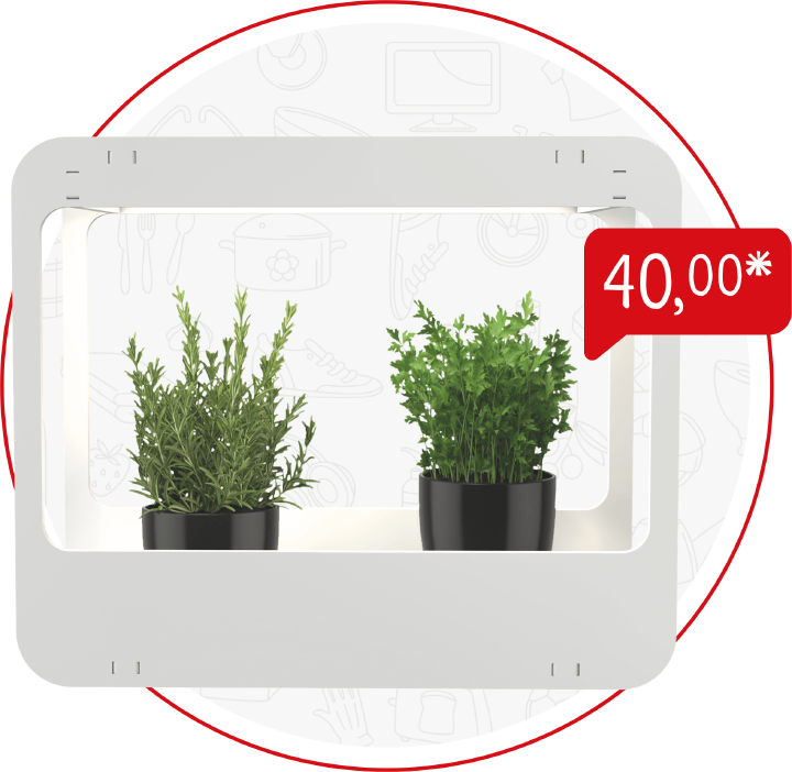 prospekt januar produktbubble Minigarten mit led beleuchtung 1770x1770 prospekt januar produktbubble Minigarten mit led beleuchtung 1770x1770